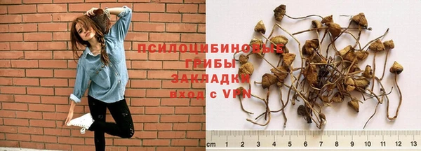 молекула духа Баксан